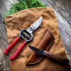 Foraging, Herbalism, and Wildcraft: a Brief Introduction