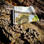 WAZOO Foraging Bandana Feature: Turkey Tail Mushroom