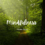 Mindset Basics: Mindfulness