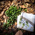 WAZOO Foraging Bandana Feature: Common Blue Violet