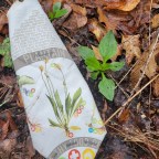 Wazoo Foraging Bandana Feature: Plantain